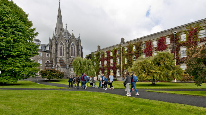 doctorate in education maynooth